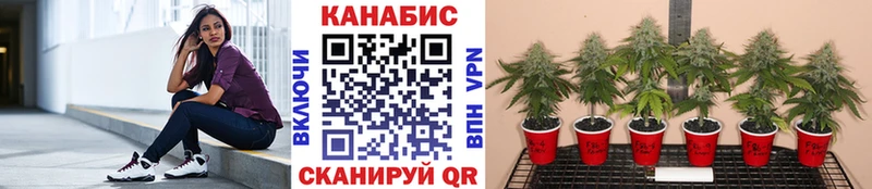 Бошки Шишки SATIVA & INDICA Белово
